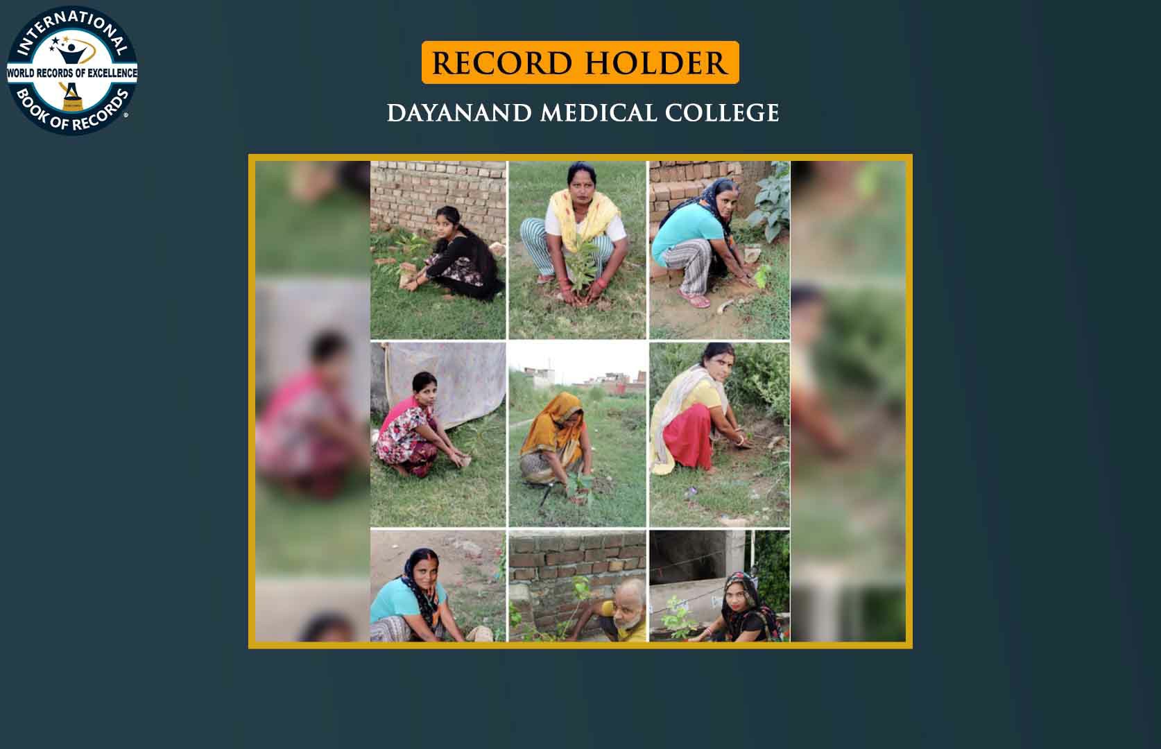 MAXIMUM TREES PLANTED IN MOST CONSECUTIVE DAYS