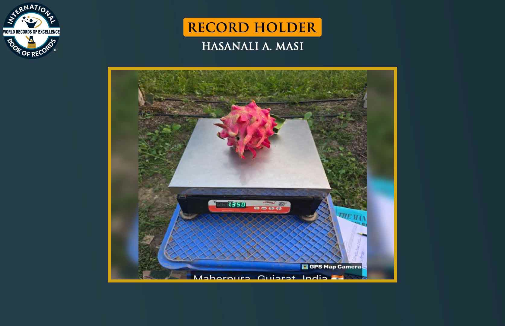 HEAVIEST DRAGON FRUIT GROWN