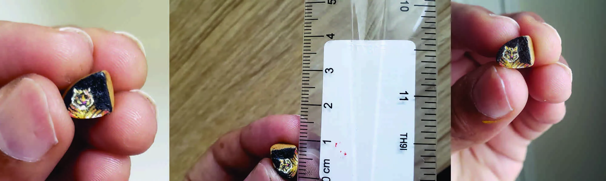 Record Image