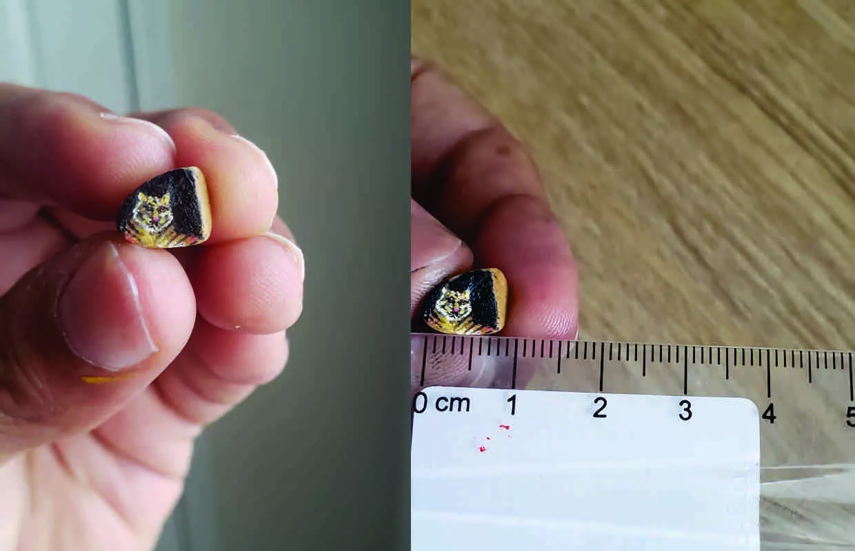 SMALLEST ARTWORK PAINTING ON A STONE