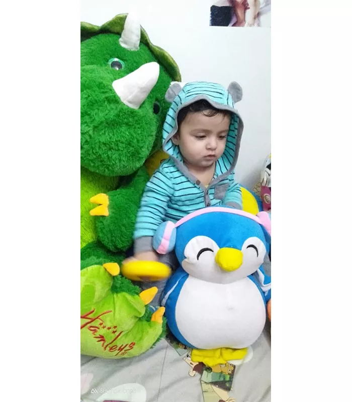 Record Image