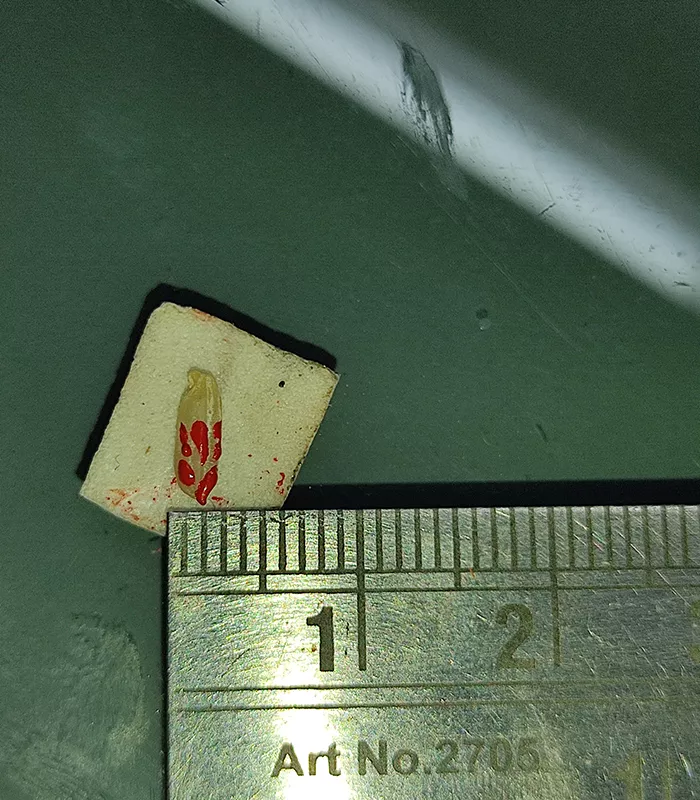Record Image