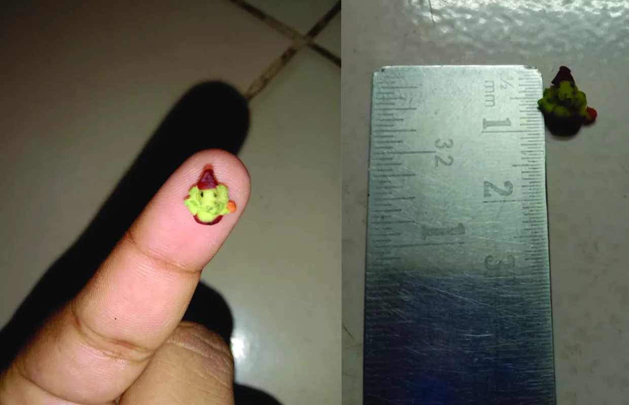 SMALLEST CLAY IDOL OF LORD GANESHA