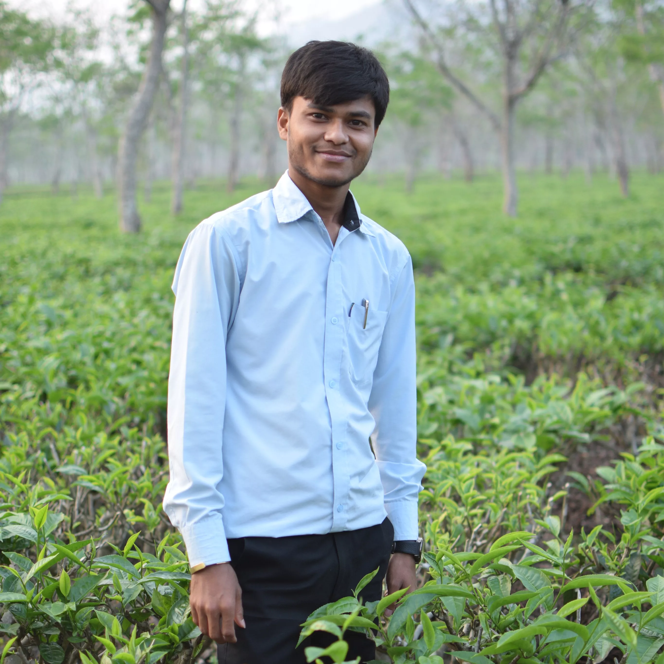 Record Image