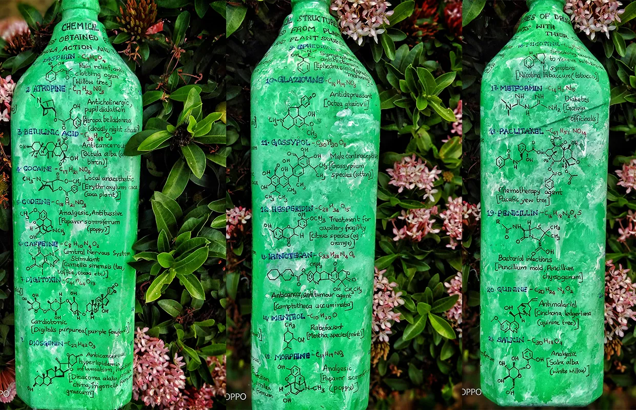 MAXIMUM CHEMICAL STRUCTURES OF DRUGS OBTAINED FROM PLANTS DRAWN ON GLASS BOTTLES