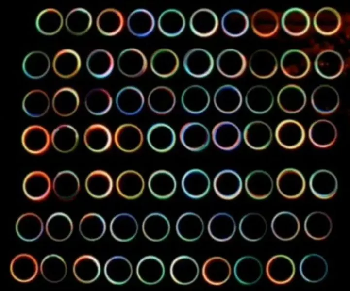 MOST LIGHT PAINTING CIRCLES IN ONE PHOTOGRAPH