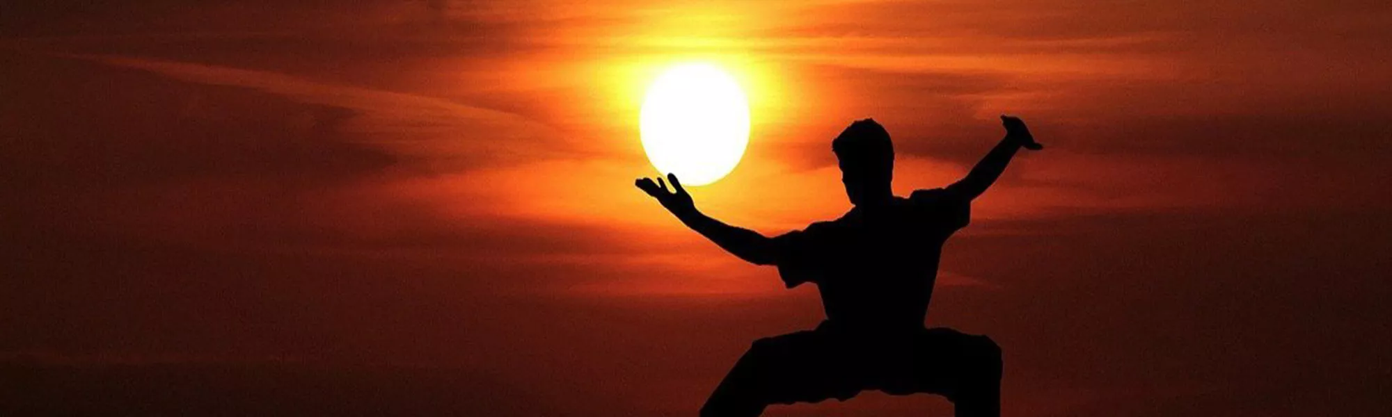 record banner image