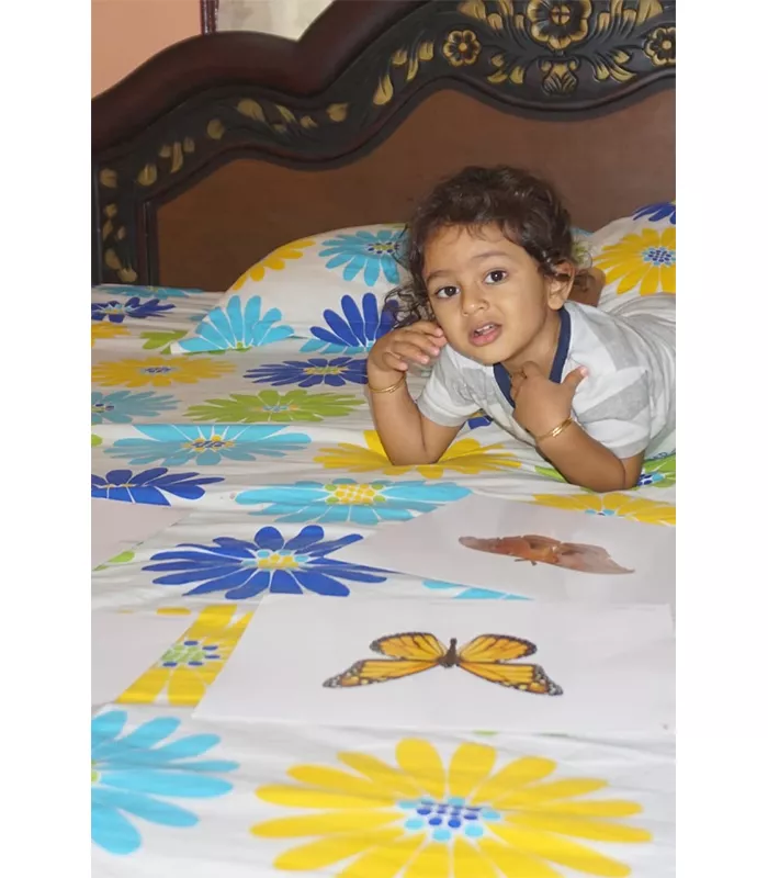 Record Image