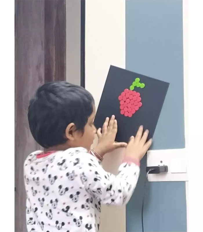 Record Image