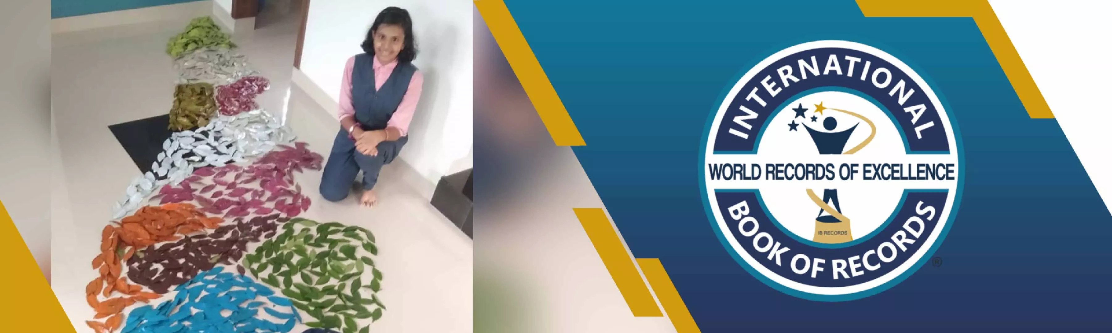 record banner image