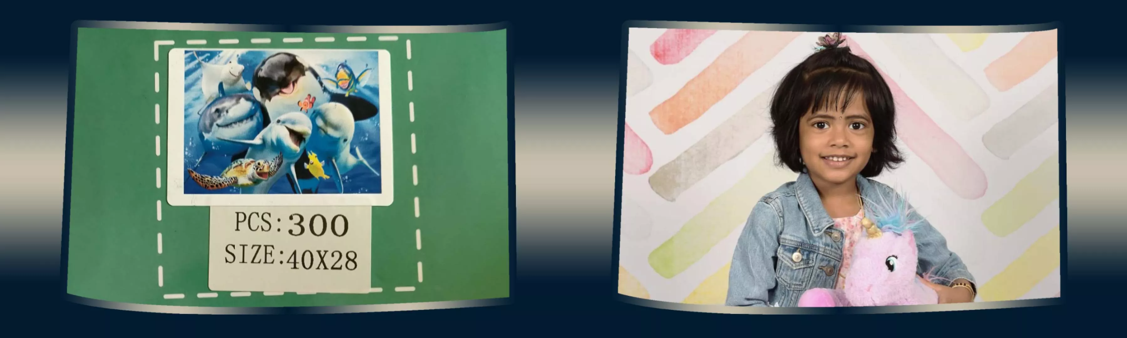 record banner image