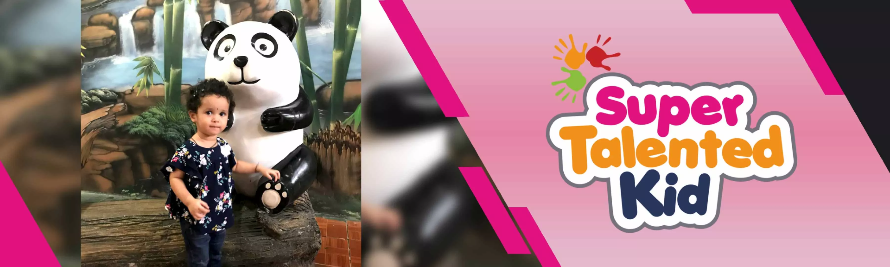 record banner image