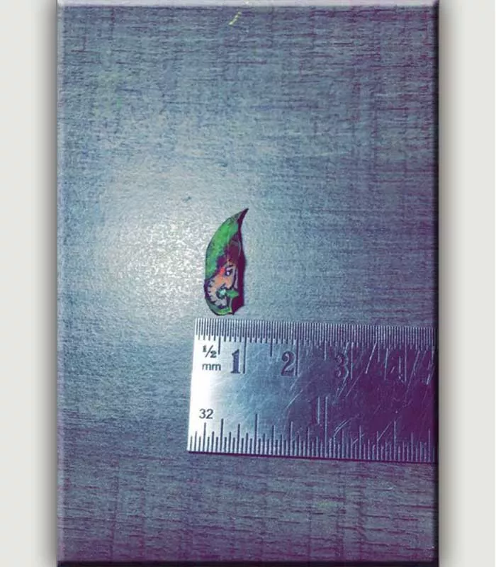 Record Image