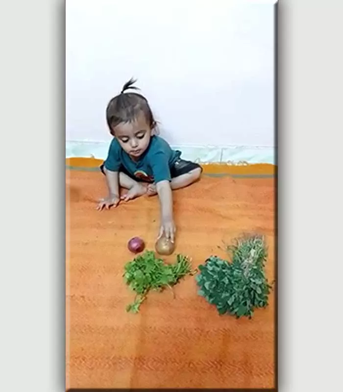 Record Image