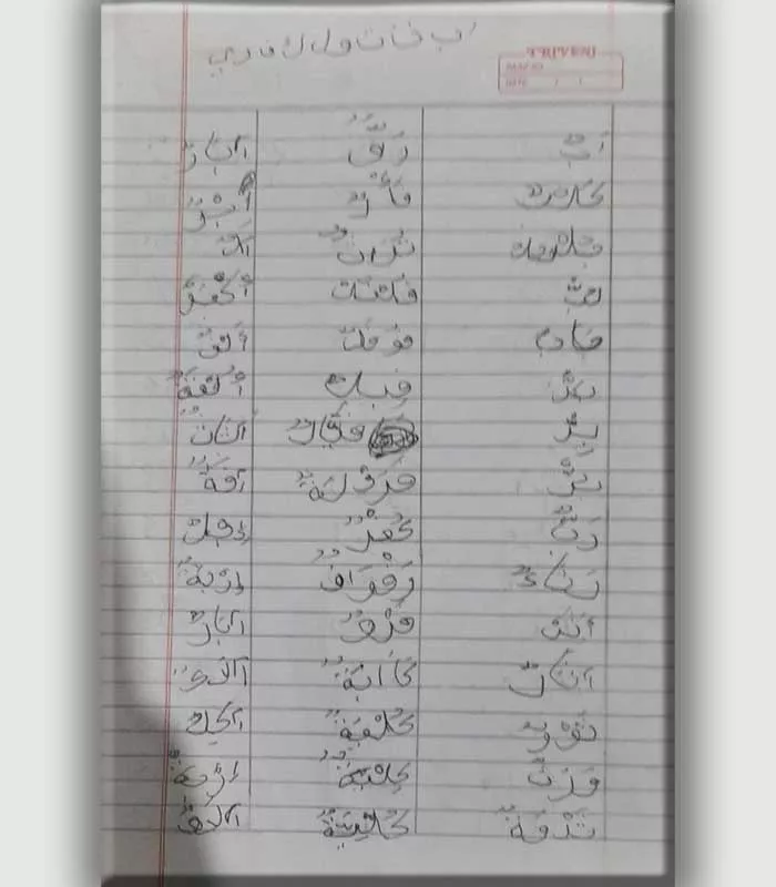 Record Image