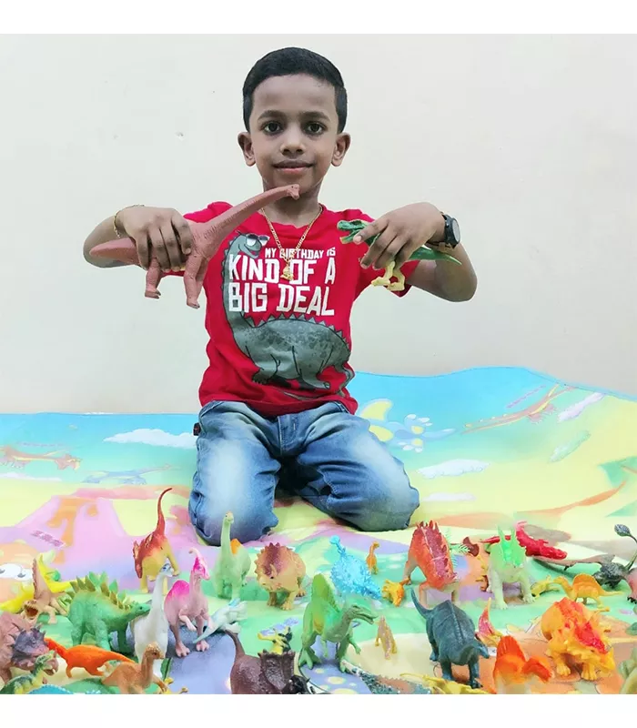 Record Image