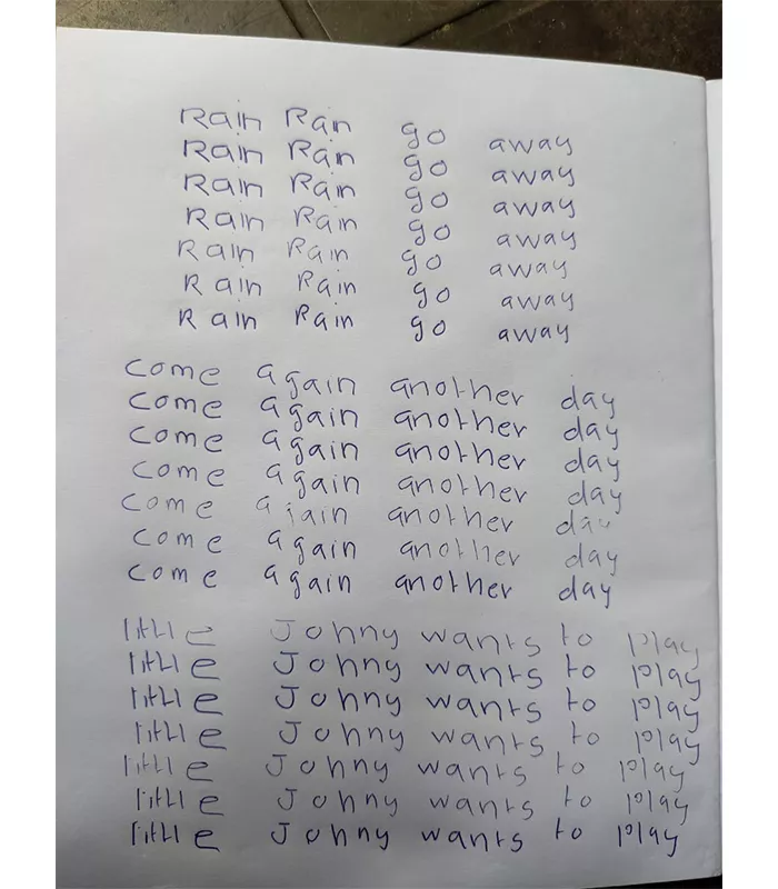 Record Image