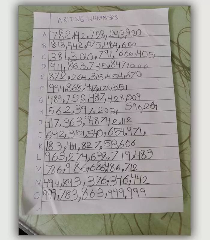 Record Image