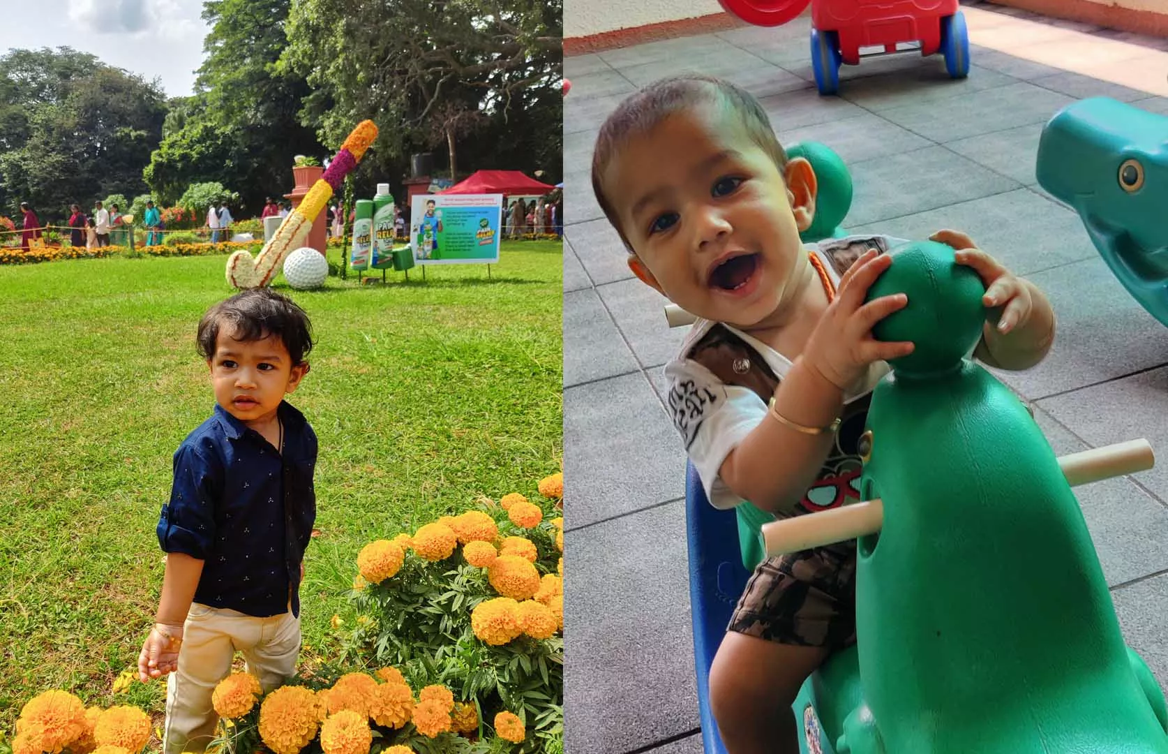 MAXIMUM TYPES OF VEHICLES IDENTIFIED BY A TODDLER