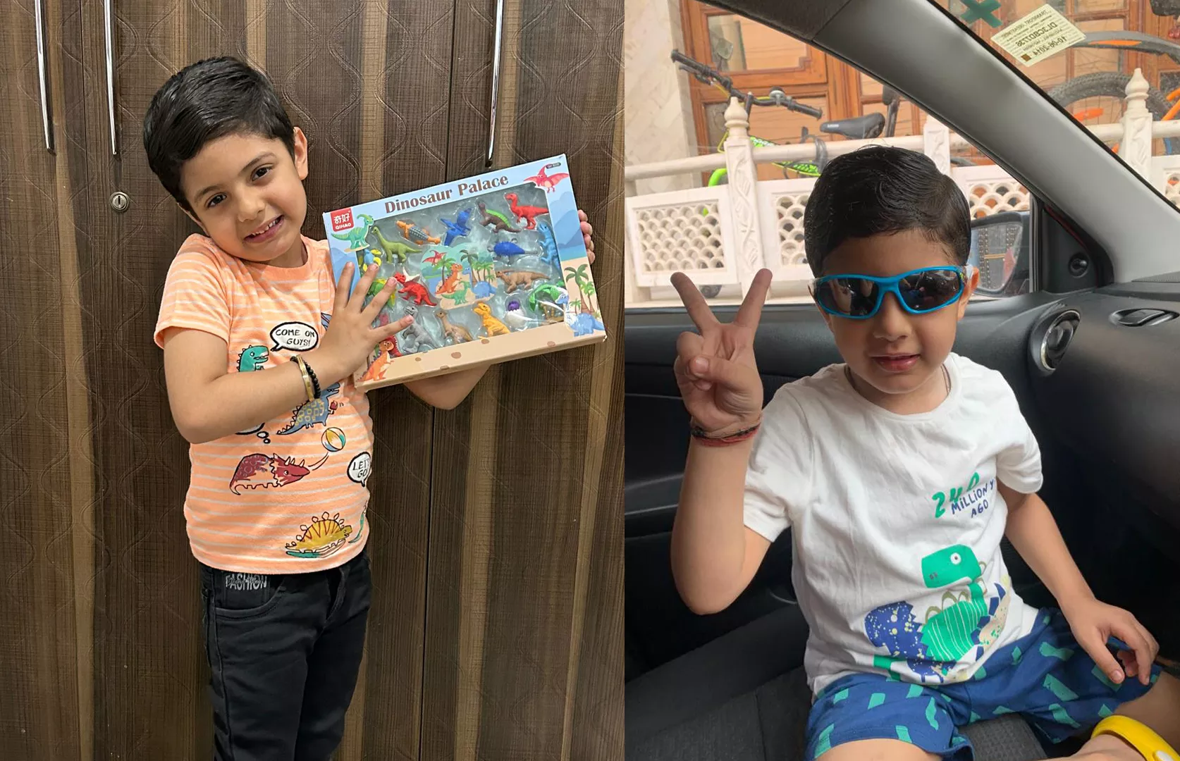 YOUNGEST TO HAVE MAXIMUM DINOSAUR-THEME COLLECTIONS