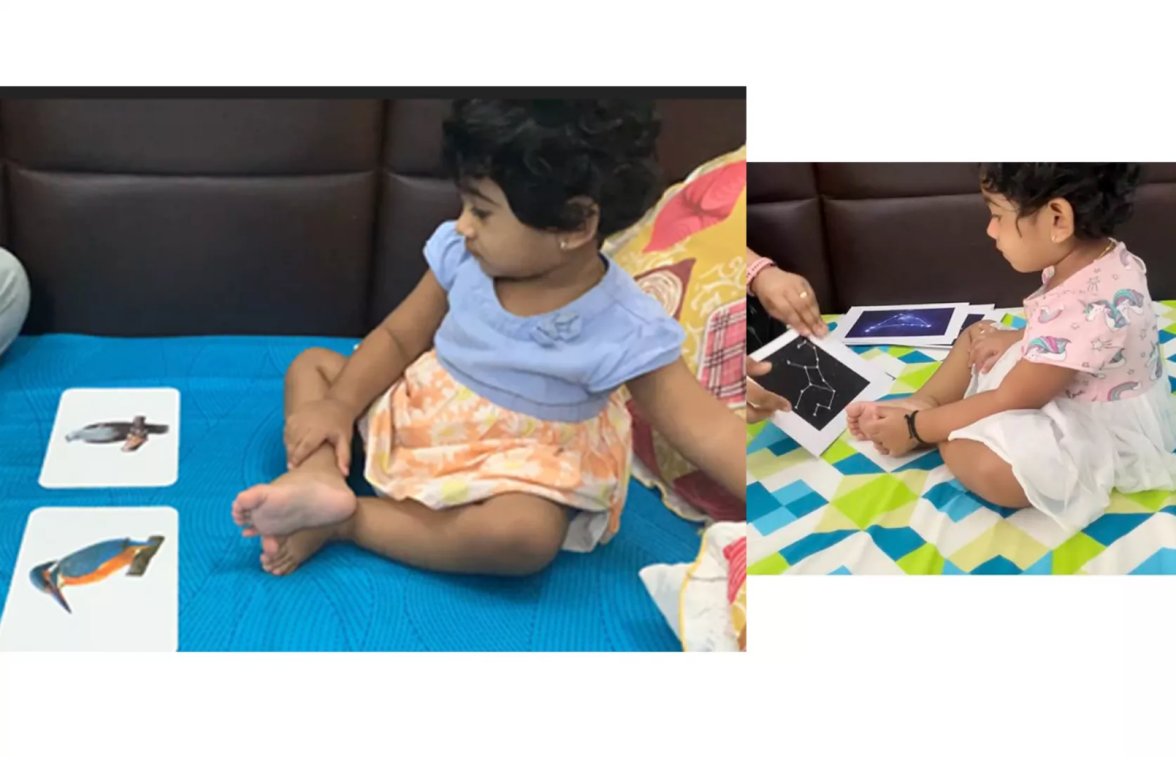 MAXIMUM FLASHCARDS IDENTIFIED BY A TODDLER (BROKEN)