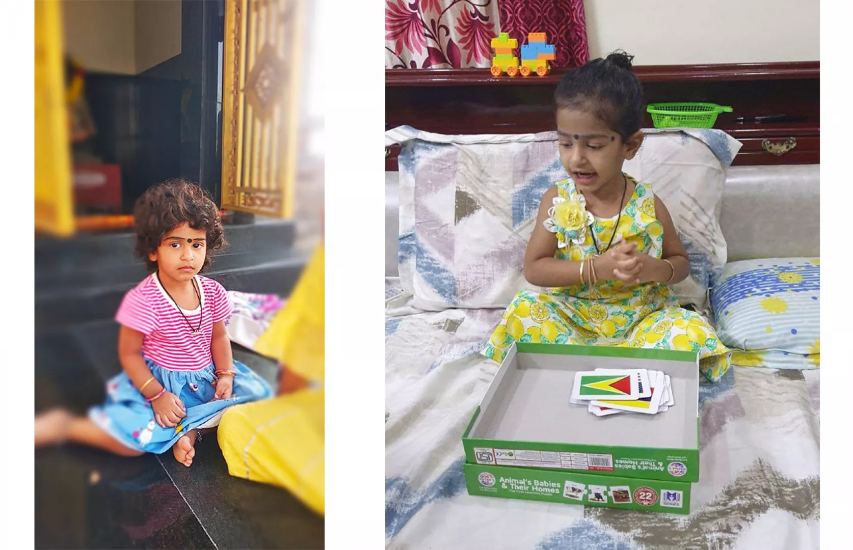 FASTEST TO IDENTIFY & RECITE FLAGS OF 100 COUNTRIES BY A TODDLER