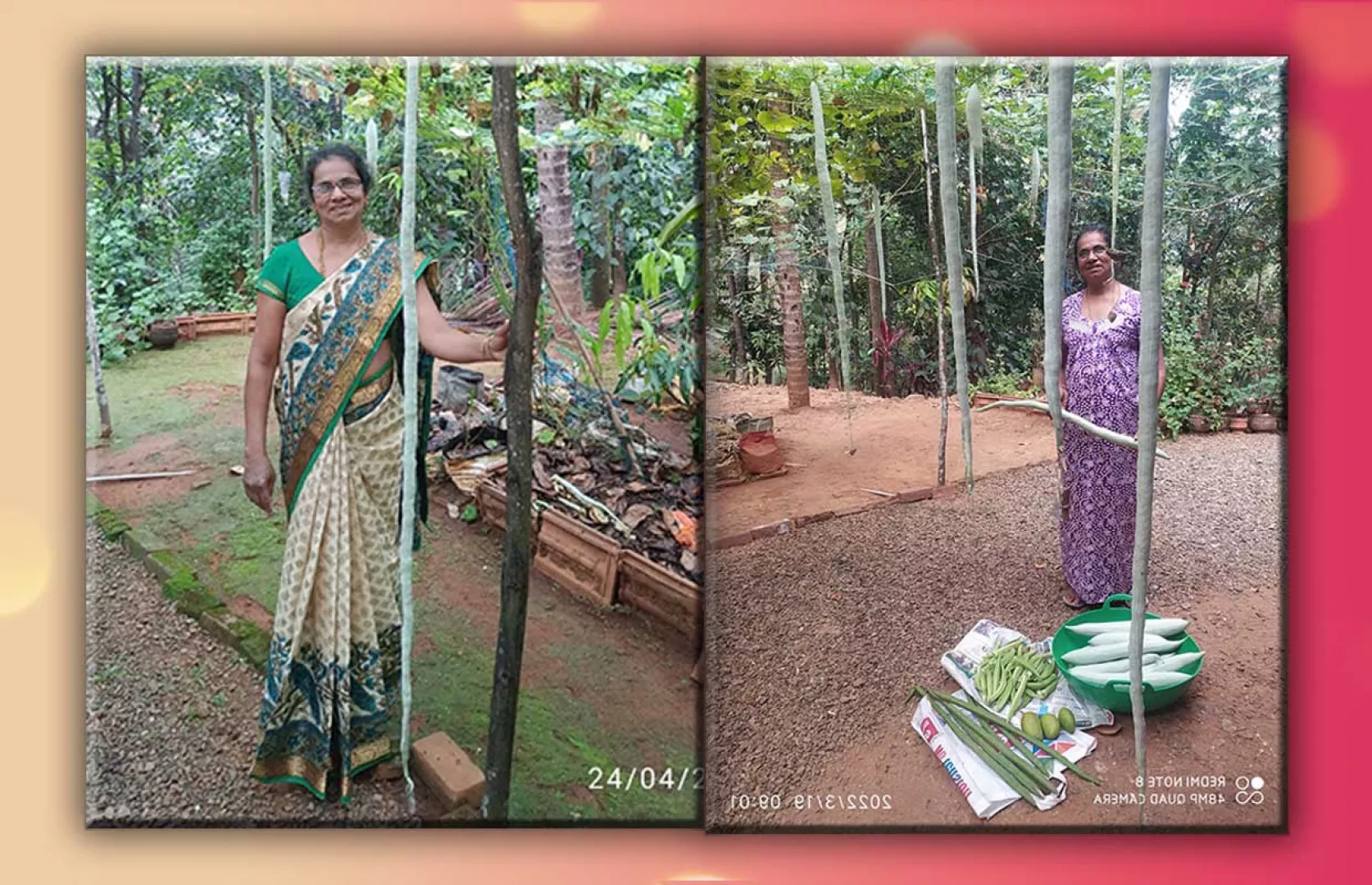 LONGEST SNAKE GOURD