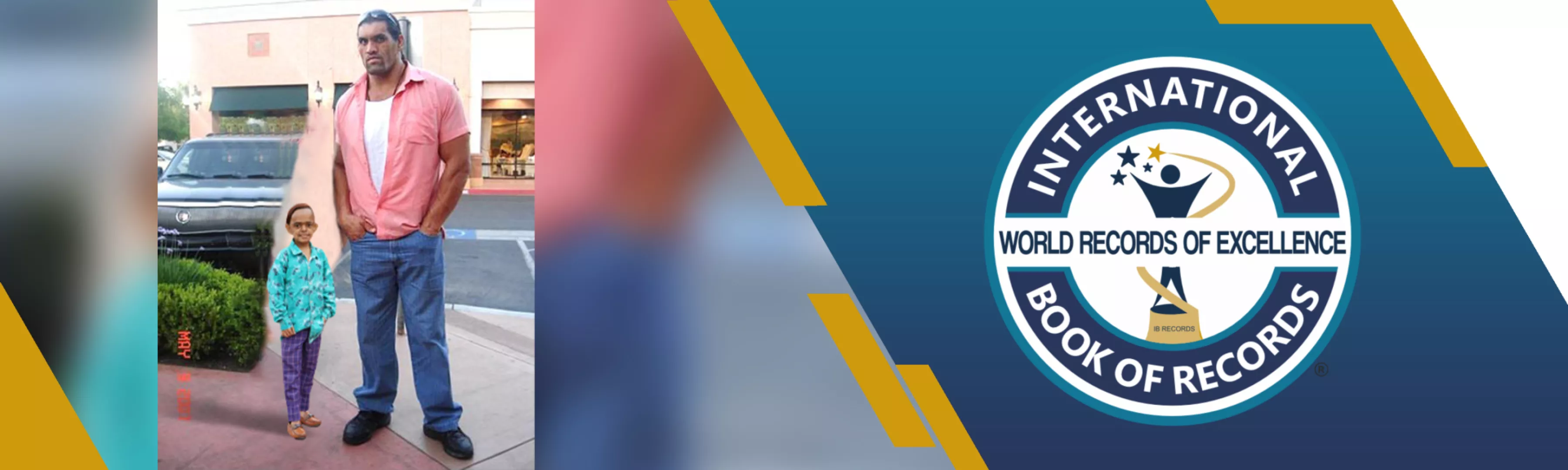 record banner image
